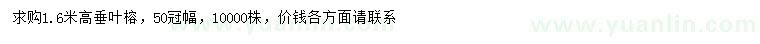 求購高1.6米垂葉榕