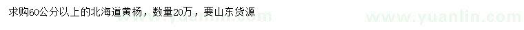 求購60公分以上北海道黃楊