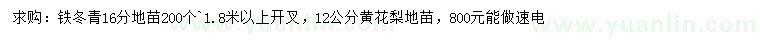 求購16公分鐵冬青、12公分黃花梨