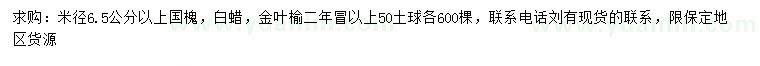 求購國槐、白蠟、金葉榆