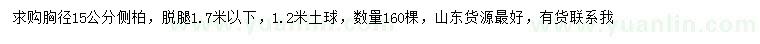 求購胸徑15公分側(cè)柏