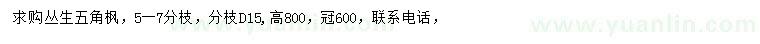 求購(gòu)叢生五角楓