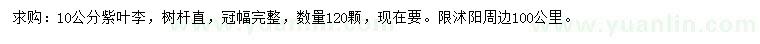 求購10公分紫葉李