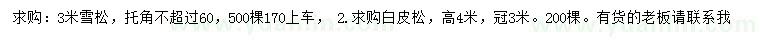 求購3米雪松
