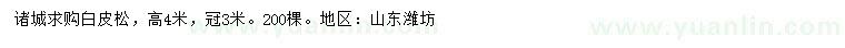 求購高4米白皮松