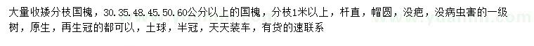求購30、35、48、45、50、60公分國槐