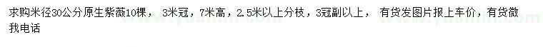 求購米徑30公分原生紫薇