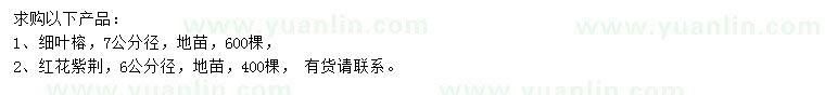 求購細(xì)葉榕、紅花紫荊