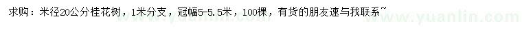 求購米徑20公分桂花樹