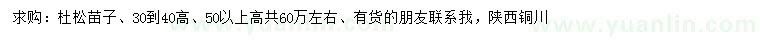 求購高30-40公分杜松苗