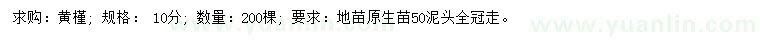 求購10公分黃槿