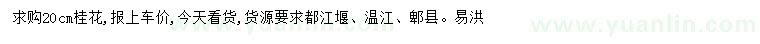 求購(gòu)20公分桂花
