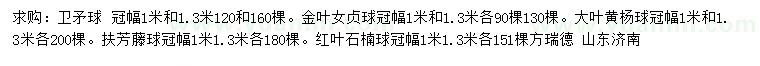 求購冠幅1-1.3米衛(wèi)矛球