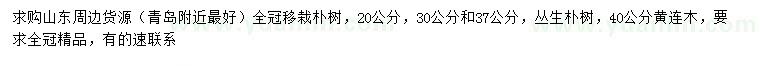 求購20、30、37公分樸樹、40公分黃連木