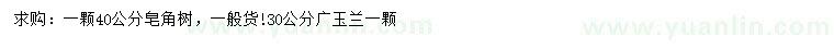 求購(gòu)40公分皂角樹、30公分廣玉蘭