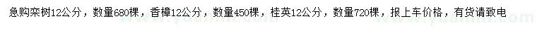 求購(gòu)欒樹(shù)、香樟、杜英