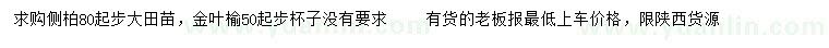 求購80公分以上側柏、50公分以上金葉榆