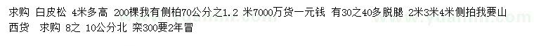 求購白皮松、側(cè)柏、北欒