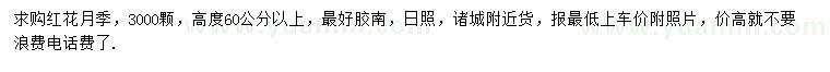 求購高度60公分以上紅花月季
