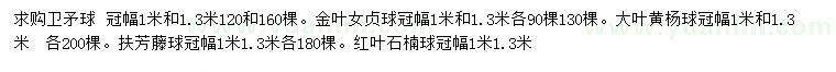 求購(gòu)衛(wèi)矛球 、金葉女貞球、大葉黃楊球等