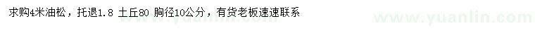 求購(gòu)4米油松