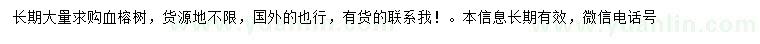 求購(gòu)血榕樹(shù)