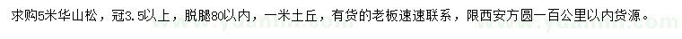 求購5米華山松