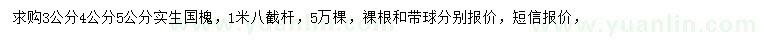 求購3、4、5公分國槐