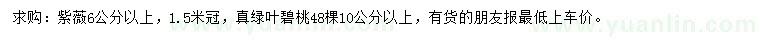 求購(gòu)6公分以上紫薇