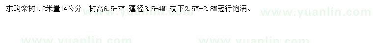 求購(gòu)1.2米量14公分欒樹