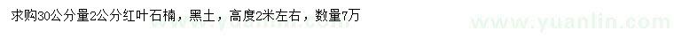 求購30公分量2公分紅葉石楠