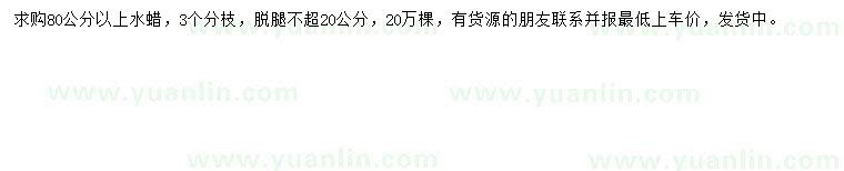 求購(gòu)80公分以上水蠟