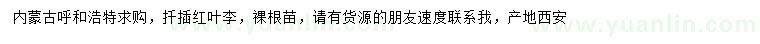 求購紅葉李