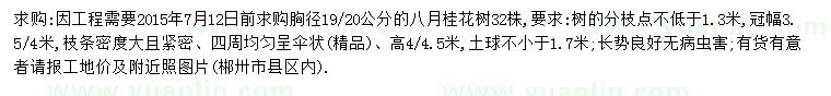 求購胸徑19、20公分八月桂花