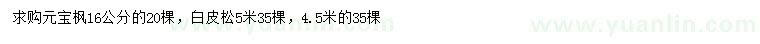 求購16公分元寶楓、5米白皮松