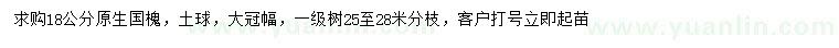 求購18公分原生國槐