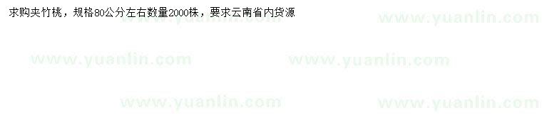 求購80公分左右夾竹桃