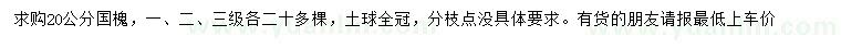 求購20公分國槐