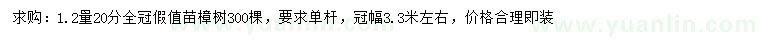 求購1.2米量20公分樟樹