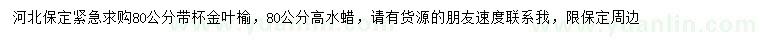 求購80公分金葉榆、水蠟