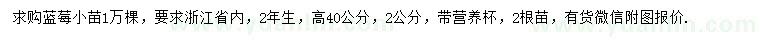 求購高40公分藍(lán)莓小苗