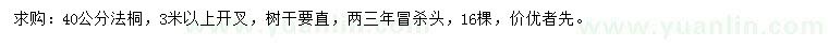 求購40公分法桐