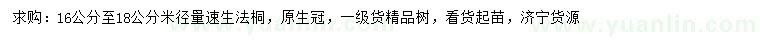 求購米徑16-18公分速生法桐