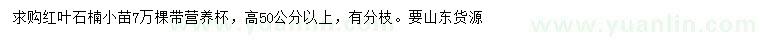 求購(gòu)高50公分以上紅葉石楠小苗