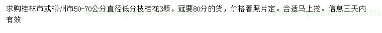 求購50-70公分桂花