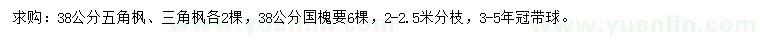 求購五角楓、三角楓、國槐