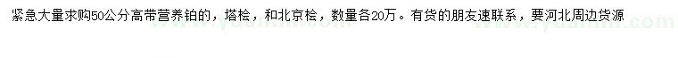 求購高50公分塔檜、北京檜