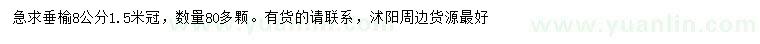 求購8公分垂榆