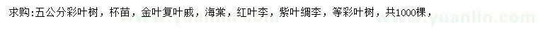 求購彩葉樹、金葉復(fù)葉槭、海棠等