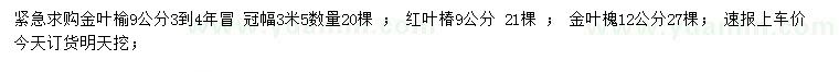 求購(gòu)金葉榆、紅葉椿、金葉槐
